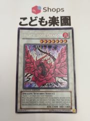遊戯王　海外版　英語　ブラック・ローズ・ドラゴン / Black Rose Dragon　シークレット　CT05-EN003