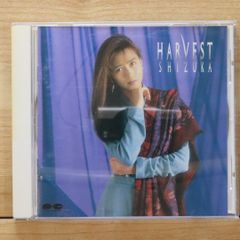 河内家菊水丸/ホレホレハレハレ ホレホレ ハレハレ/河内家菊水丸