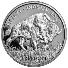 武田薬品 純銀メダル 5枚セット 純銀 ホールマーク 2025年最新】純銀メダルの人気アイテム - メルカリ