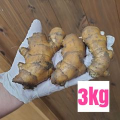 小ぶりこま割れ土付き囲い生姜3kg