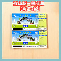 【片道2枚】 立山黒部アルペンルート 株主優待券　立山駅ー黒部湖 ネコポス発送