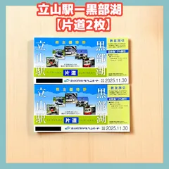 2025年最新】立山黒部貫光株主優待券の人気アイテム - メルカリ
