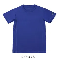 ファッションシーンで話題のこれから流行るブランド12選 2025年最新】ファイテン tシャツ ロイヤルブルーの人気アイテム ウェア