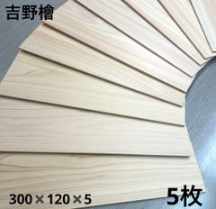 Item thumbnail for item e51da8b5-2dff-4584-b5e8-26f1a9238f27