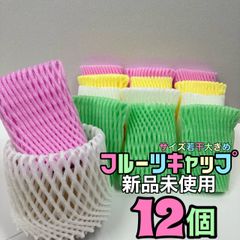 果物保護　保護ネット　フルーツキャップ　カラフル　緩衝材　12枚　りんご