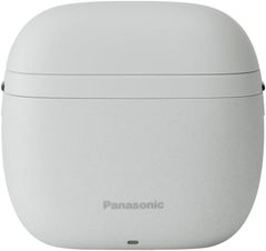 Panasonic LAMDASH PALM IN LITE 本体 - メルカリ