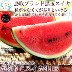 みんなでバーベキュー！ BBQに持っていくスイカ！お中元 夏ギフト スイカ 西瓜 すいか 鳥取県産黒玉スイカ [がぶりこスイカ2L1玉]