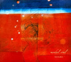 2025年最新】nujabes modal soulの人気アイテム - メルカリ
