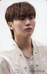 【中古】コレクションカード(男性) SEVENTEEN/SEUNGKWAN(スングァン)/CD「Face the Sun」(CARAT VER.)Loppi・HMV限定特典スペシャルフォトカード