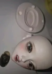 リトルモニカ 吸血鬼 ソフィア msd