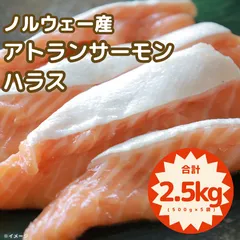 2025年最新】サーモンランの人気アイテム - メルカリ