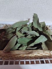レモンユーカリ ドライ ハーブ さわやかなレモンの香り 天然の防虫剤 入浴剤 虫除けスプレー ボディスプレー作りに