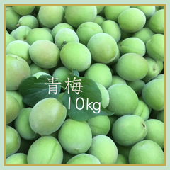 無農薬　青梅　白加賀　10㎏ほど
