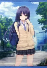 珈琲貴族 限定品多数 タペストリー10本セット 珈琲貴族 限定品多数 タペストリー10本セット 2025年最新】Yahoo