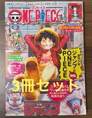ワンピースマガジン20号 付録付き　ルフィ プロモカードつき