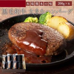 藤彩牛 大判ハンバーグセット【6個】黒毛和牛100％使用。肉汁たっぷり