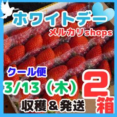 クール便　②箱【ホワイトデー】新鮮朝採りいちごのサムネイル