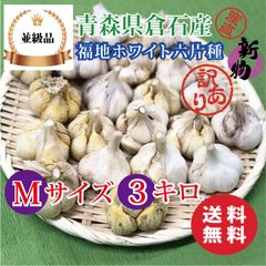 【並級品】青森県倉石産にんにく福地ホワイト六片種 Mサイズ 3kg