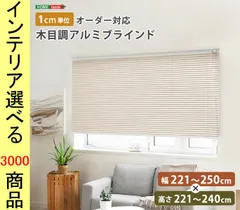 2025年最新】TOSO ブラインドの人気アイテム - メルカリ