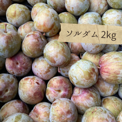 ソルダム　プラム　すもも　2kgほど