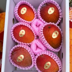 沖縄県産マンゴー 6玉 1.8〜2kg