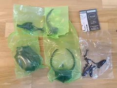 未使用　いきもの大図鑑アドバンス コーカサスオオカブト 1点 コーカサスオオカブト(ジャワ島) 昆虫 【E3311-001】▶110