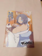 CD2枚】閃乱カグラ SHINOVI VERSUS -少女達の証明- 少女達のまる裸ファイル
