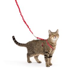 【新着商品】Premier Come With Me Kitty イージーウォーク猫用ハーネス＆バンジーリード (M レッド)