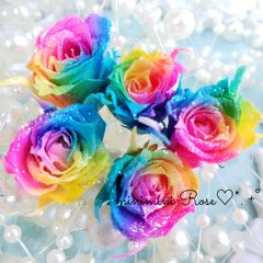 マイクロローズ*.❁5輪　花材　プリザーブドフラワー
