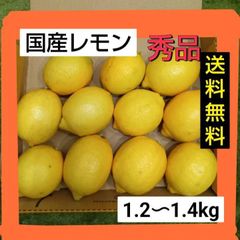 国産レモン　秀品　1.2Kg〜1.4Kg（箱込み）大小混合　　和歌山県産　送料無料　　マルマ農園