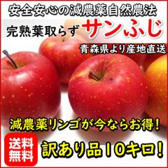 【お得な訳あり品10キロ】生食用！「サンふじ」安心安全の減農薬！青森産完熟りんご