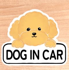 ドッグインカー【トイプードル,ボード】マグネットタイプ/シールタイプ/吸盤タイプ