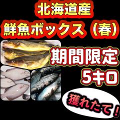 お買い得】北海道産 天然秋鮭メス2本セット（生筋子入り） 3.0kg ※セット売りの場合、頭除去で発送します。鮭 さけ サケ 生筋子 鮮魚  いくら醤油漬け - メルカリ