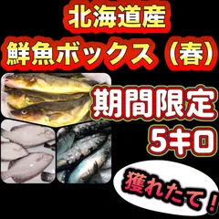 2024年最新】鮮魚の人気アイテム - メルカリ