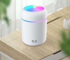 Item thumbnail for item 514ed648-6c4b-4924-b60b-31570dc5d21b