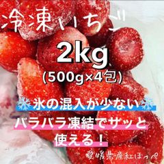 冷凍イチゴ 3kg 愛媛県産 サクサク！バラバラで取りやすい！氷の混入が