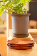 ウッドディッシュ 亀甲丸プレート 小（18cm）42922482