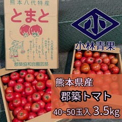 【数量限定品】熊本県産　郡築トマト　3.5kg（40～50玉） 郡築とまと　ぐんちくトマト　とまと　トマト