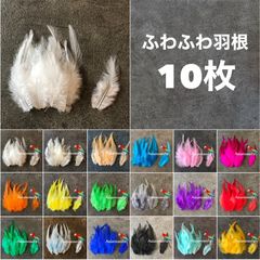 ◼️【F羽根 各色】10枚 羽 フェザー 鳥の羽根 素材 天然 パーツ ファー 羽 撮影小物 装飾 パーツ 装飾