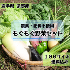 \\毎日食べたい たっぷりサイズ//野菜セット 詰め合わせ 100サイズ《無農薬・無肥料》