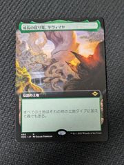 MTG 吹きさらしの荒野 ボーダーレス MH3 日本語版 - メルカリ