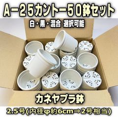 A-25白(内径φ6.1cm:2号相当)カネヤ＊カントープラ鉢50鉢セット※黒も混合可＊A25＠フラワーショップ江口※黒インク状の付着が有ったりします＊多肉植物・塊根植物コーデックス・アガベ・サボテン・ハオルチア・アデニウム・パキポディウム・実生