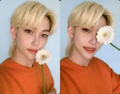 【中古】コレクションカード(男性) Stray Kids/Felix(フィリックス)/花持ち/「NACIFIC×Stray Kids」フラワーイベント購入特典両面フォトカード 第十弾