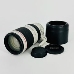 【純正フード付き】■ほぼ新品■ CANON EF100-400mm F4.5-5.6L IS II USM