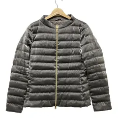 Herno 春ダウンジャケット シルバー 42 Herno 春ダウンジャケット シルバー 42 Herno 春ダウン