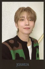 SEVENTEEN JOSHUA 2024 CARAT LAND インスタントフォトカード 黒