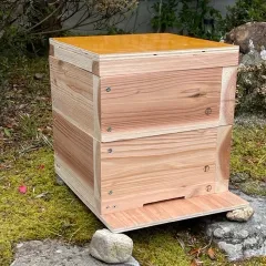 日本蜜蜂　待ち箱　入居実績あり　巣箱　待ち箱 6年かかったニホンミツバチ初入居までの記録 | ミツロウ