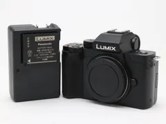 最終値下げ早い者勝ち【美品セット売り】ミラーレス一眼　LUMIX-G100 2025年最新】lumix g100の人気アイテム - メルカリ