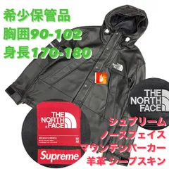 2023年最新】supreme north face レザーの人気アイテム - メルカリ