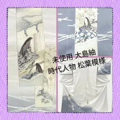 ✨️未使用品　十二単衣の粋な絵柄！本場大島紬訪問着(重ね衿付き)✨️